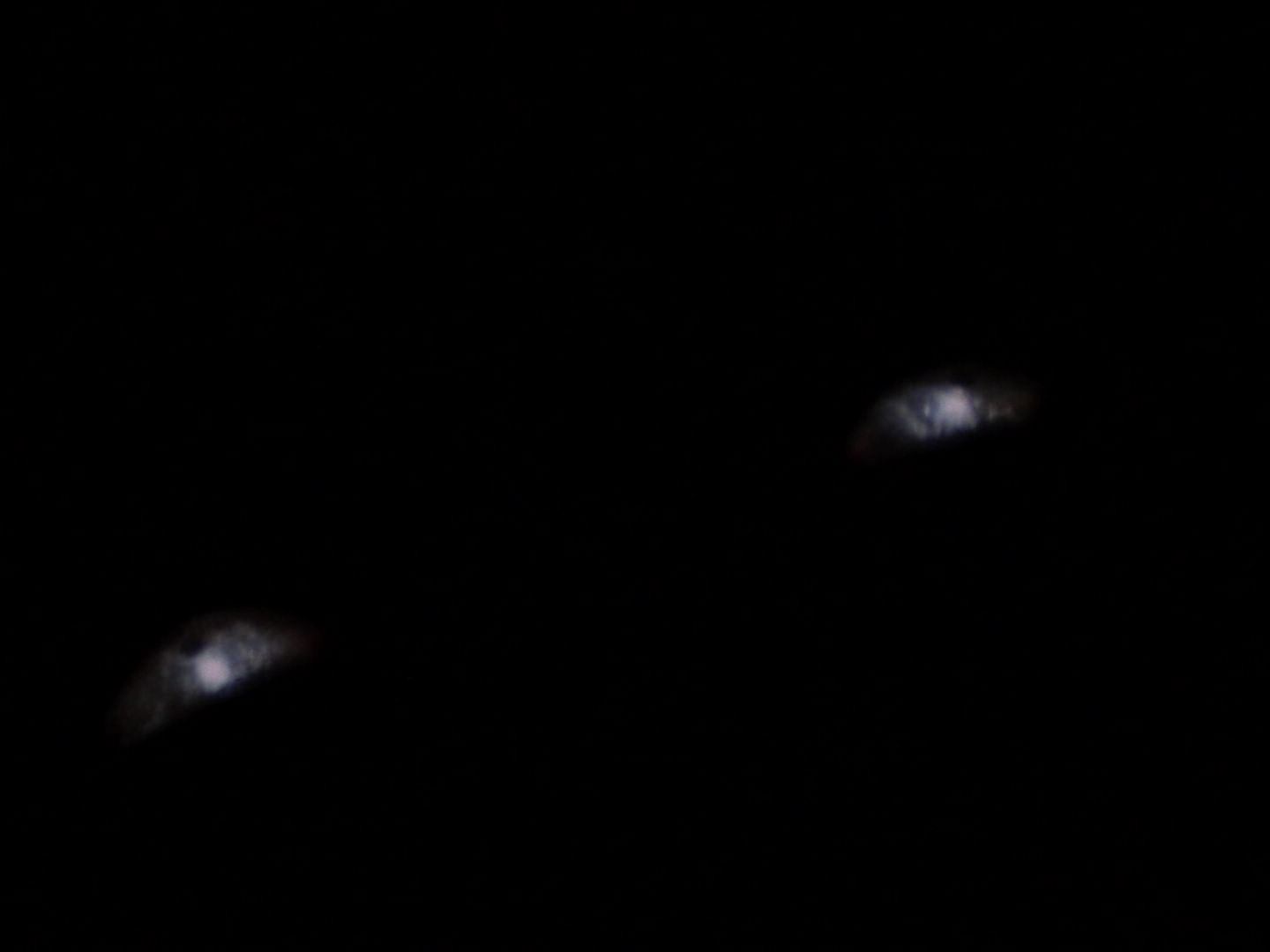 ariane179254_StarTrek_1x03_WhereNoManHasGoneBefore_0743.jpg