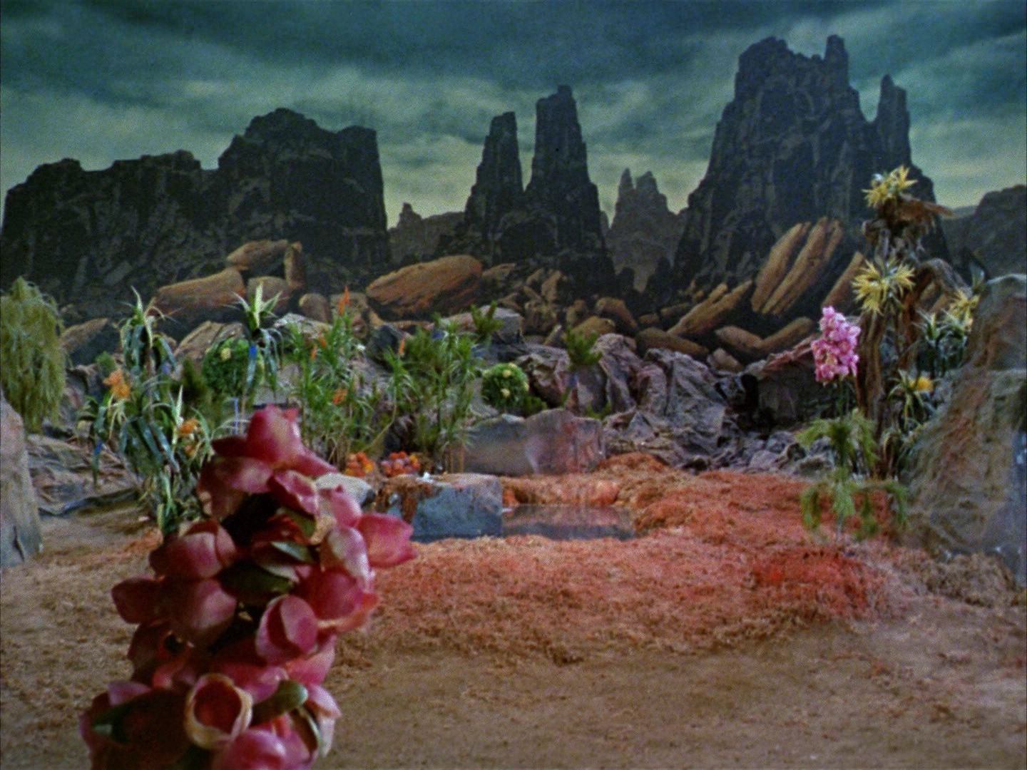 ariane179254_StarTrek_1x03_WhereNoManHasGoneBefore_2690.jpg