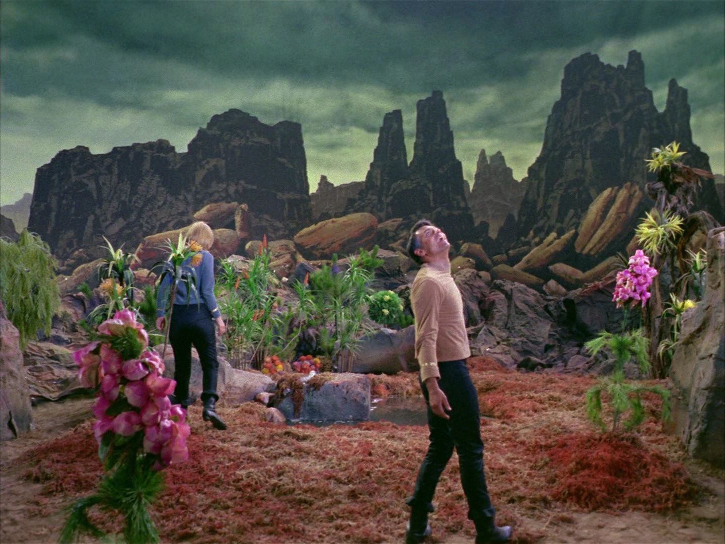 ariane179254_StarTrek_1x03_WhereNoManHasGoneBefore_2715.jpg