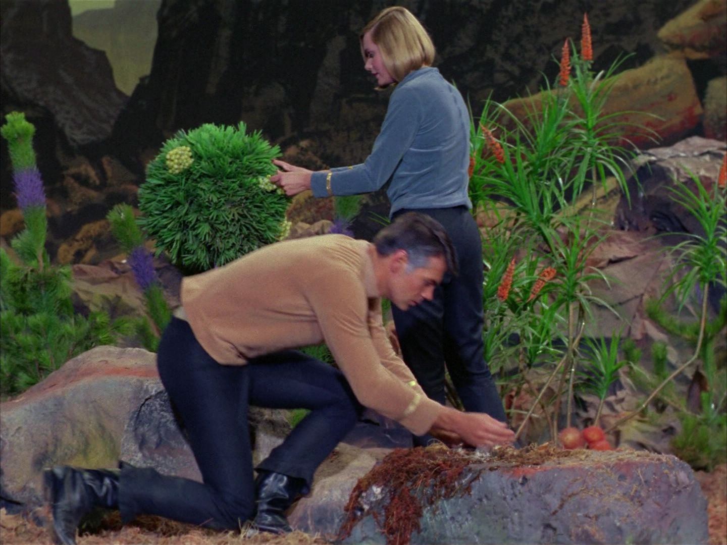 ariane179254_StarTrek_1x03_WhereNoManHasGoneBefore_2725.jpg