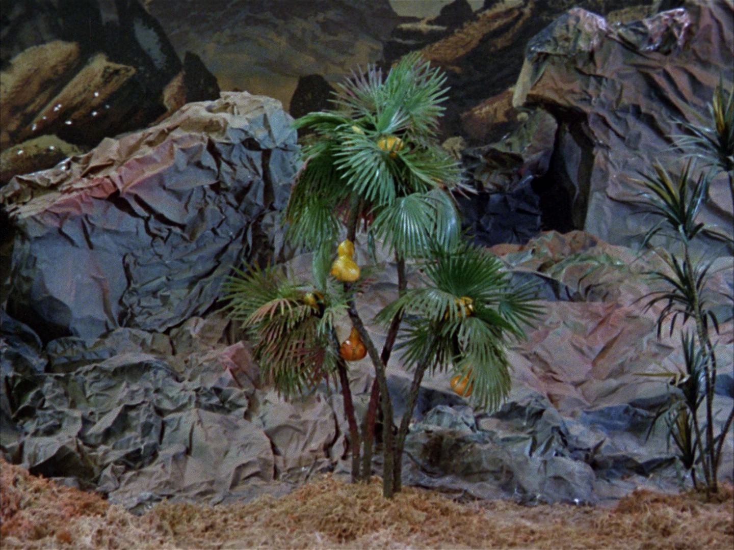 ariane179254_StarTrek_1x03_WhereNoManHasGoneBefore_2814.jpg