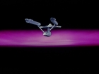 Filename=ariane179254_StarTrek_1x03_WhereNoManHasGoneBefore_0579.jpg
Filesize=39KiB
Dimensions=1440x1080
Date added=Jun 15, 2012 ariane179254_StarTrek_1x03_WhereNoManHasGoneBefore_0579.jpg