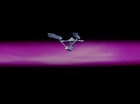 Filename=ariane179254_StarTrek_1x03_WhereNoManHasGoneBefore_0580.jpg
Filesize=36KiB
Dimensions=1440x1080
Date added=Jun 15, 2012 ariane179254_StarTrek_1x03_WhereNoManHasGoneBefore_0580.jpg