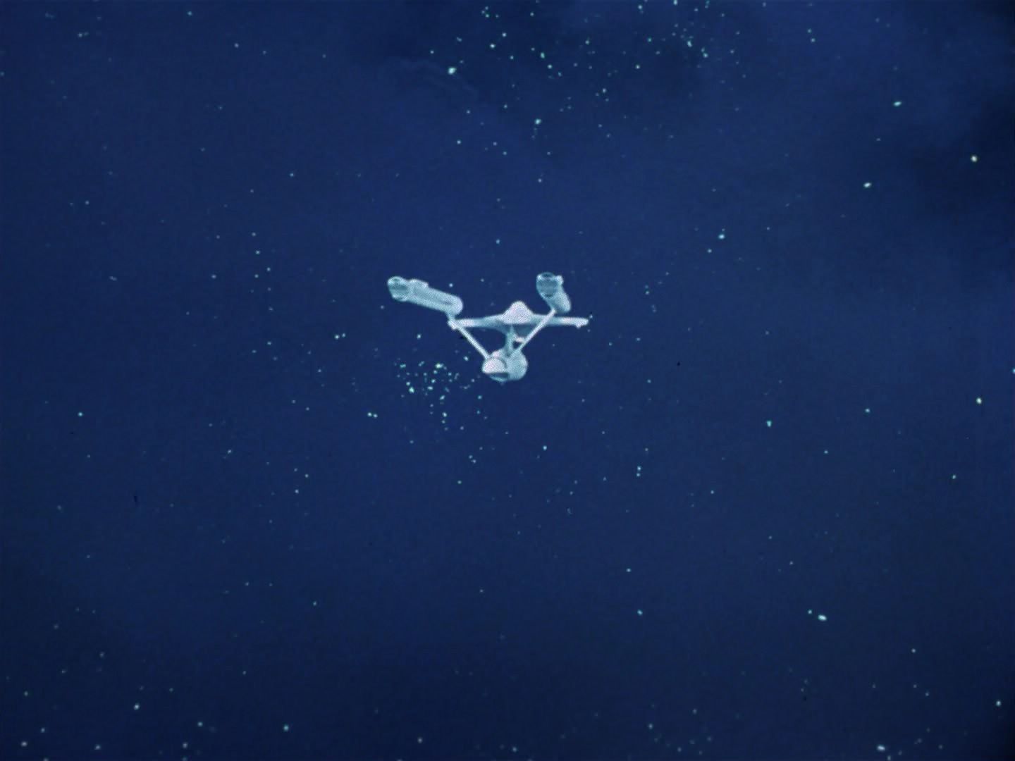 ariane179254_StarTrek_1x04_TheNakedTime_0010.jpg