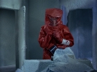 ariane179254_StarTrek_1x04_TheNakedTime_0123.jpg
