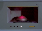 ariane179254_StarTrek_1x04_TheNakedTime_0405.jpg