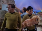 Filename=ariane179254_StarTrek_1x05_TheEnemyWithin_0032.jpg
Filesize=134KiB
Dimensions=1440x1080
Date added=Dec 21, 2012 ariane179254_StarTrek_1x05_TheEnemyWithin_0032.jpg