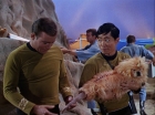 Filename=ariane179254_StarTrek_1x05_TheEnemyWithin_0036.jpg
Filesize=143KiB
Dimensions=1440x1080
Date added=Dec 21, 2012 ariane179254_StarTrek_1x05_TheEnemyWithin_0036.jpg