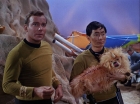 Filename=ariane179254_StarTrek_1x05_TheEnemyWithin_0039.jpg
Filesize=129KiB
Dimensions=1440x1080
Date added=Dec 21, 2012 ariane179254_StarTrek_1x05_TheEnemyWithin_0039.jpg