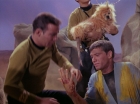 Filename=ariane179254_StarTrek_1x05_TheEnemyWithin_0049.jpg
Filesize=108KiB
Dimensions=1440x1080
Date added=Dec 21, 2012 ariane179254_StarTrek_1x05_TheEnemyWithin_0049.jpg