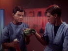 Filename=ariane179254_StarTrek_1x05_TheEnemyWithin_0370.jpg
Filesize=114KiB
Dimensions=1440x1080
Date added=Dec 21, 2012 ariane179254_StarTrek_1x05_TheEnemyWithin_0370.jpg