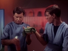 Filename=ariane179254_StarTrek_1x05_TheEnemyWithin_0372.jpg
Filesize=114KiB
Dimensions=1440x1080
Date added=Dec 21, 2012 ariane179254_StarTrek_1x05_TheEnemyWithin_0372.jpg