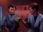 Filename=ariane179254_StarTrek_1x05_TheEnemyWithin_0373.jpg
Filesize=112KiB
Dimensions=1440x1080
Date added=Dec 21, 2012 ariane179254_StarTrek_1x05_TheEnemyWithin_0373.jpg