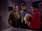Filename=ariane179254_StarTrek_1x05_TheEnemyWithin_0560.jpg
Filesize=98KiB
Dimensions=1440x1080
Date added=Dec 21, 2012 ariane179254_StarTrek_1x05_TheEnemyWithin_0560.jpg