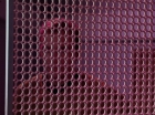 ariane179254_StarTrek_1x05_TheEnemyWithin_0612.jpg