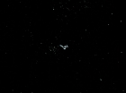 ariane179254_StarTrek_1x05_TheEnemyWithin_3116.jpg