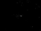 ariane179254_StarTrek_1x05_TheEnemyWithin_3117.jpg