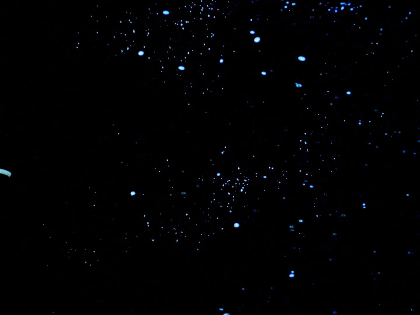 ariane179254_StarTrek_1x06_MuddsWomen_0221.jpg