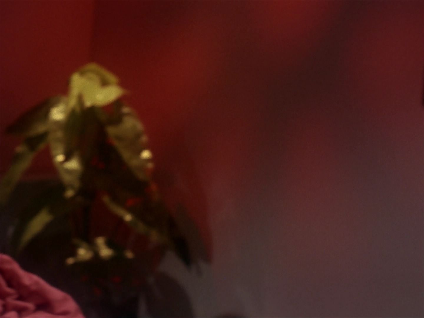 ariane179254_StarTrek_1x06_MuddsWomen_2028.jpg