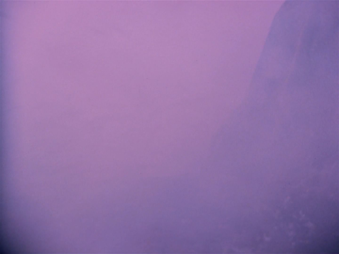 ariane179254_StarTrek_1x06_MuddsWomen_2427.jpg
