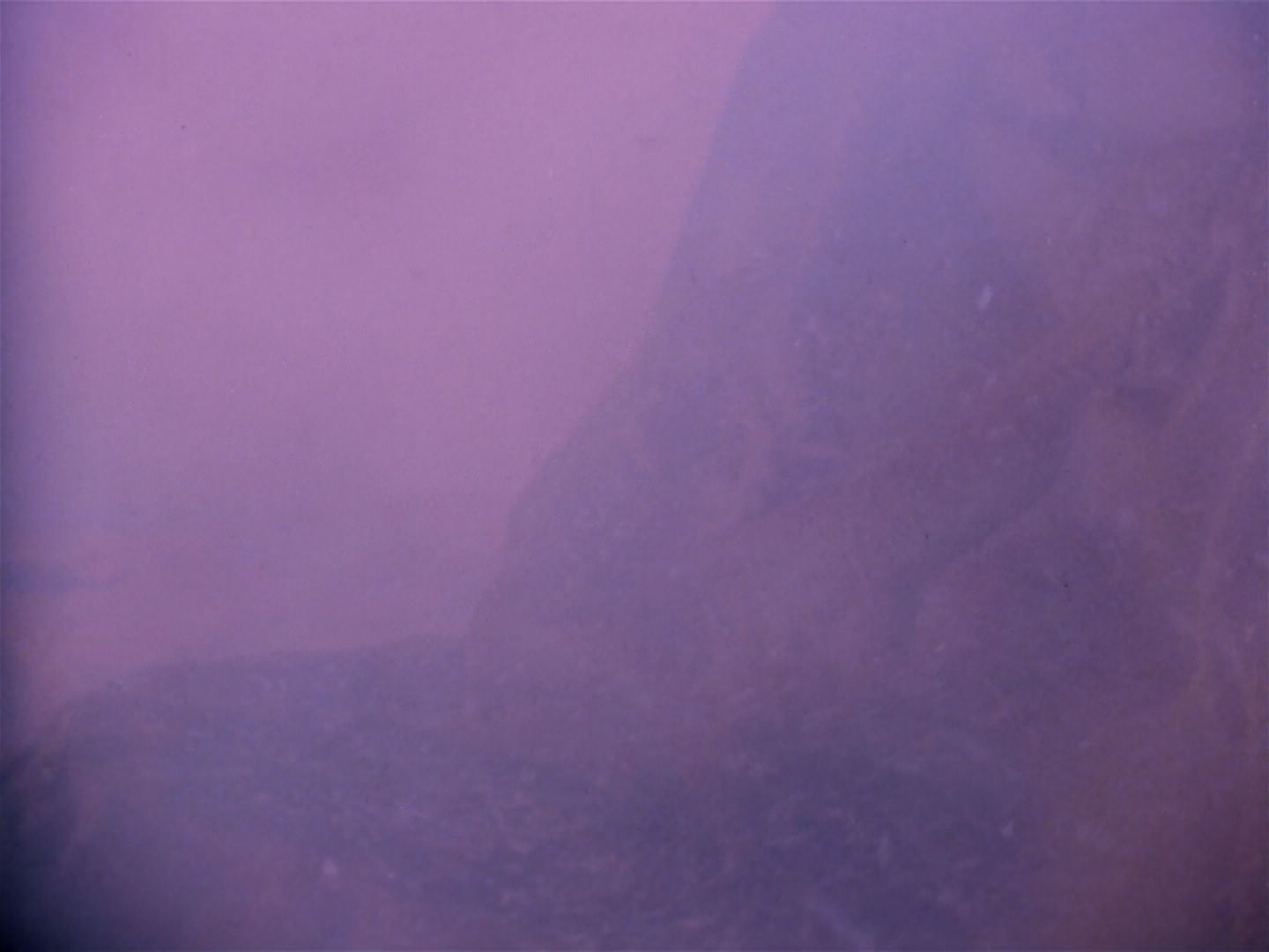 ariane179254_StarTrek_1x06_MuddsWomen_2428.jpg