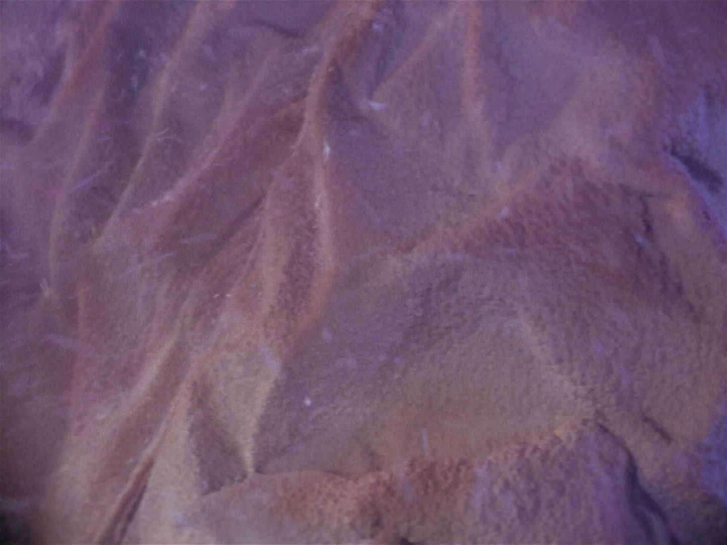 ariane179254_StarTrek_1x06_MuddsWomen_2651.jpg