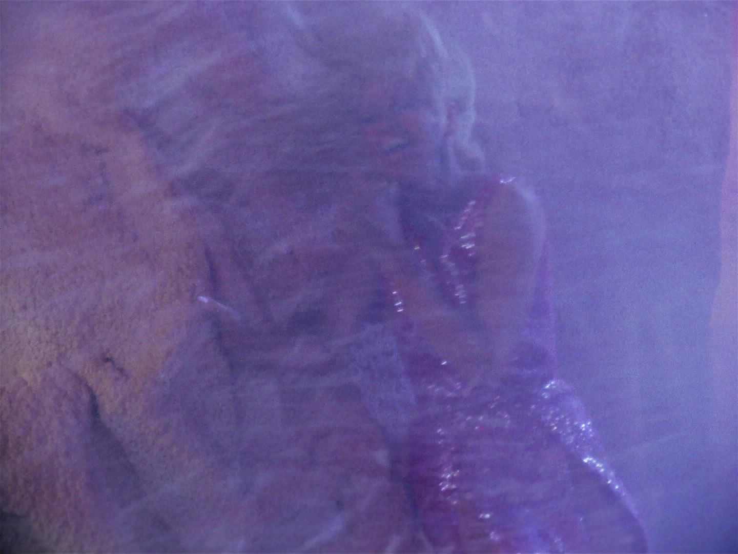 ariane179254_StarTrek_1x06_MuddsWomen_2672.jpg