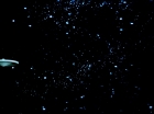 Filename=ariane179254_StarTrek_1x06_MuddsWomen_0222.jpg
Filesize=61KiB
Dimensions=1440x1080
Date added=Apr 24, 2013 ariane179254_StarTrek_1x06_MuddsWomen_0222.jpg