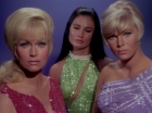 Filename=ariane179254_StarTrek_1x06_MuddsWomen_0820.jpg
Filesize=133KiB
Dimensions=1440x1080
Date added=Apr 24, 2013 ariane179254_StarTrek_1x06_MuddsWomen_0820.jpg