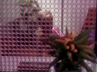Filename=ariane179254_StarTrek_1x06_MuddsWomen_1627.jpg
Filesize=153KiB
Dimensions=1440x1080
Date added=Apr 24, 2013 ariane179254_StarTrek_1x06_MuddsWomen_1627.jpg