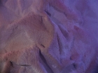 ariane179254_StarTrek_1x06_MuddsWomen_2653.jpg