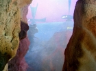ariane179254_StarTrek_1x06_MuddsWomen_2811.jpg