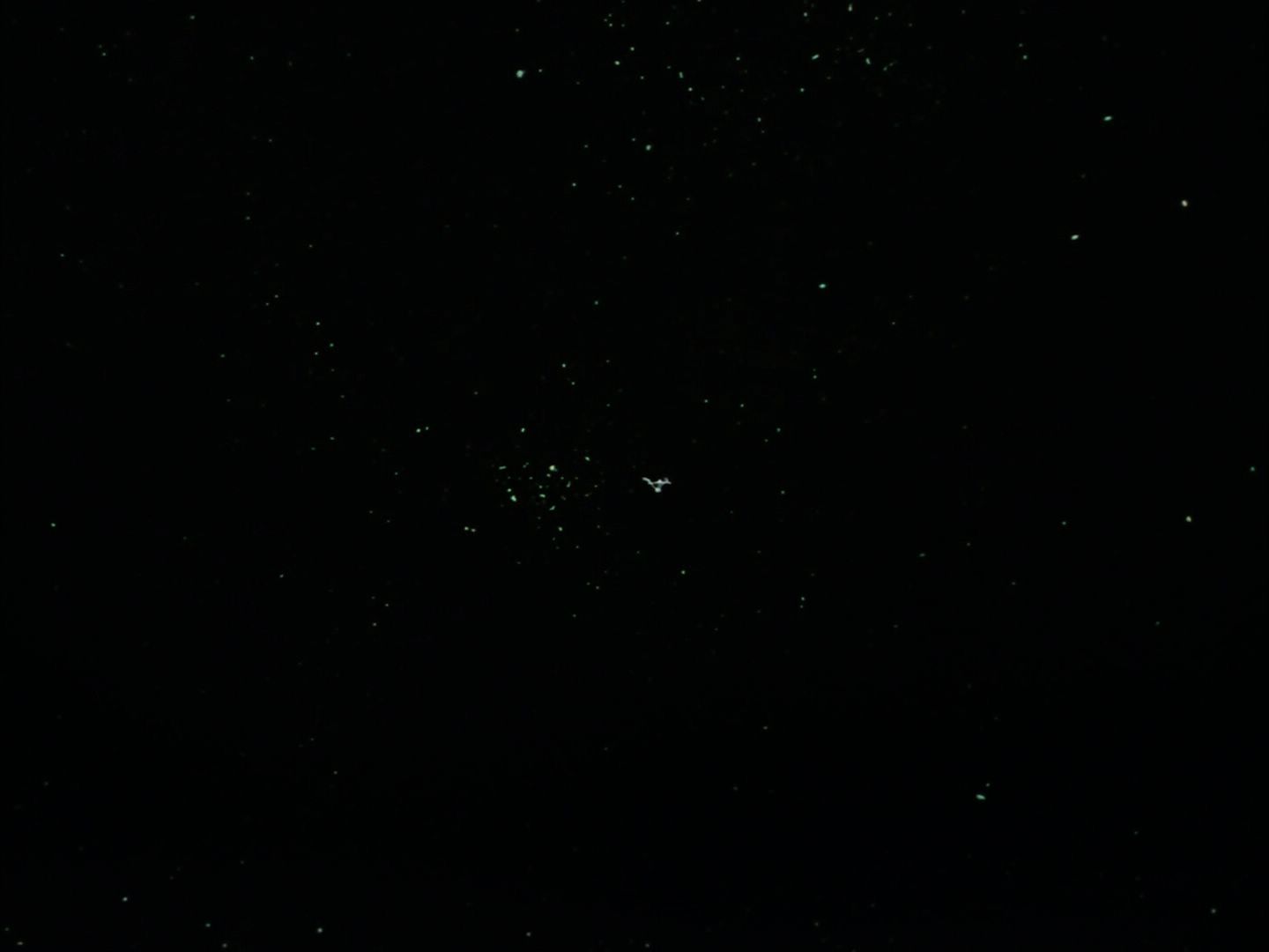 ariane179254_StarTrek_1x08_Miri_3565.jpg