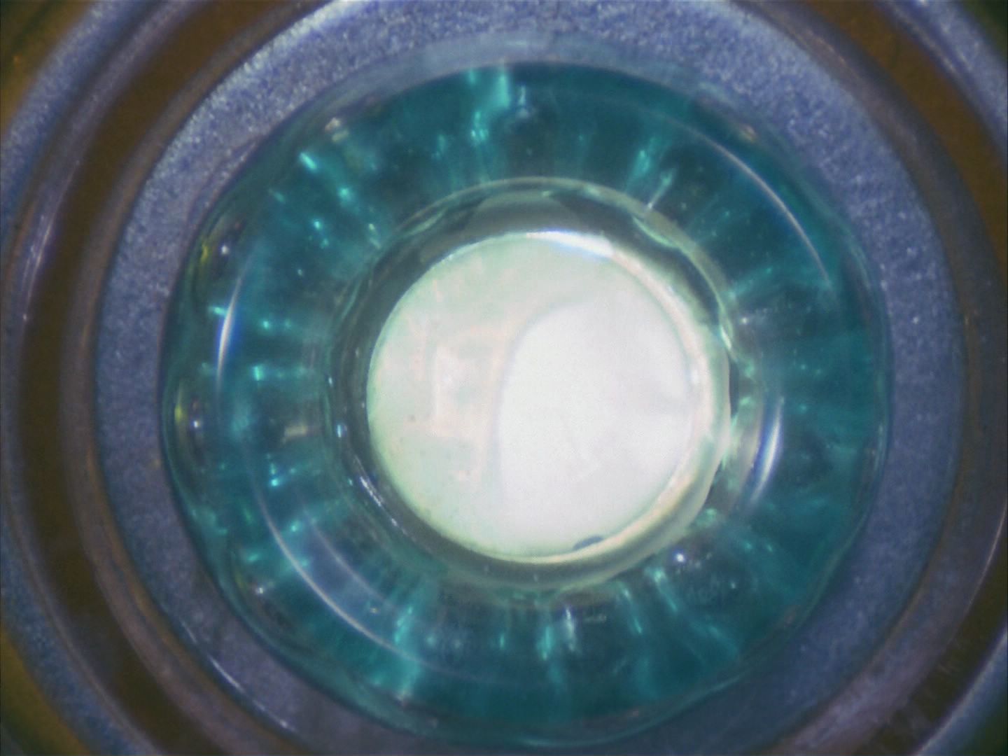 ariane179254_StarTrek_1x09_DaggerOfTheMind_3209.jpg