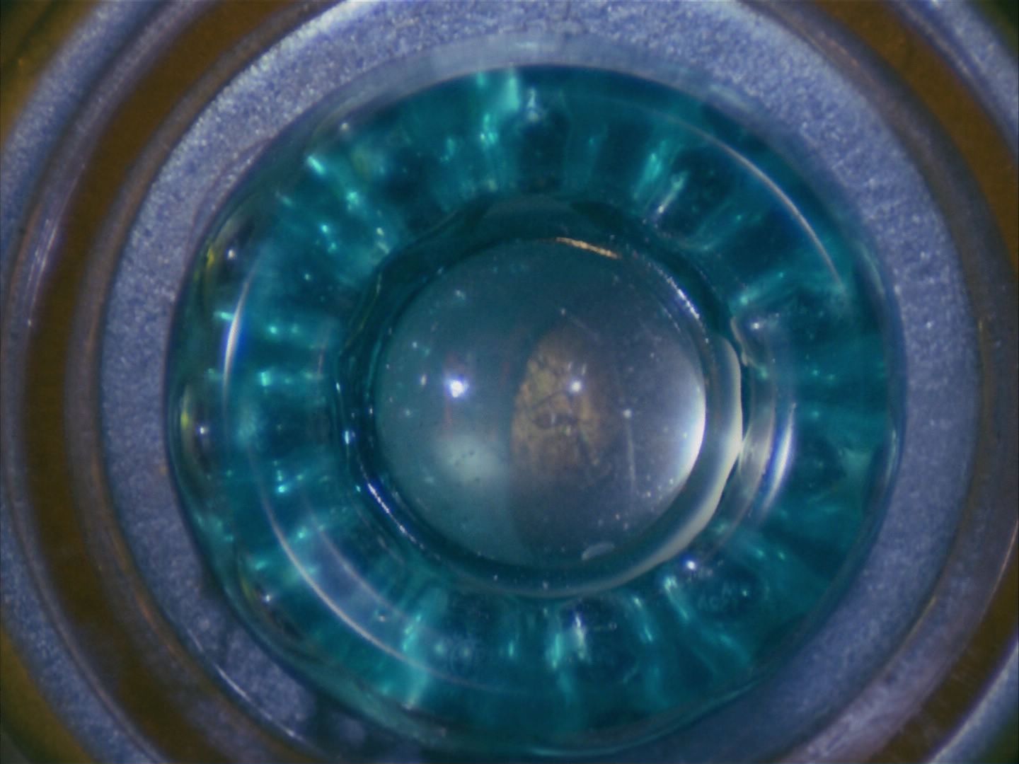 ariane179254_StarTrek_1x09_DaggerOfTheMind_3210.jpg