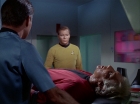 ariane179254_StarTrek_1x09_DaggerOfTheMind_0670.jpg