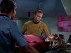 Filename=ariane179254_StarTrek_1x09_DaggerOfTheMind_0674.jpg
Filesize=109KiB
Dimensions=1440x1080
Date added=Sep 07, 2014 ariane179254_StarTrek_1x09_DaggerOfTheMind_0674.jpg