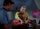 ariane179254_StarTrek_1x09_DaggerOfTheMind_0791.jpg