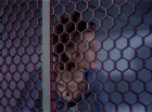 ariane179254_StarTrek_1x09_DaggerOfTheMind_3113.jpg