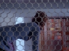 ariane179254_StarTrek_1x09_DaggerOfTheMind_3116.jpg