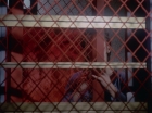 ariane179254_StarTrek_1x09_DaggerOfTheMind_3194.jpg