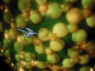 ariane179254_StarTrek_1x10_TheCorbomiteManouver_1342.jpg