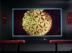 ariane179254_StarTrek_1x10_TheCorbomiteManouver_1378.jpg