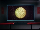 ariane179254_StarTrek_1x10_TheCorbomiteManouver_1455.jpg