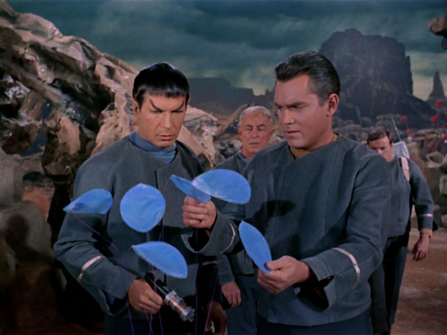 ariane179254_StarTrek_1x11_TheMenageriePart1_2860.jpg