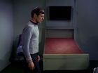 Filename=ariane179254_StarTrek_1x11_TheMenageriePart1_0259.jpg
Filesize=81KiB
Dimensions=1440x1080
Date added=Dec 23, 2014 ariane179254_StarTrek_1x11_TheMenageriePart1_0259.jpg