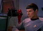 Filename=ariane179254_StarTrek_1x11_TheMenageriePart1_1741.jpg
Filesize=90KiB
Dimensions=1440x1080
Date added=Dec 23, 2014 ariane179254_StarTrek_1x11_TheMenageriePart1_1741.jpg