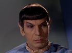 Filename=ariane179254_StarTrek_1x11_TheMenageriePart1_1986.jpg
Filesize=91KiB
Dimensions=1440x1080
Date added=Dec 23, 2014 ariane179254_StarTrek_1x11_TheMenageriePart1_1986.jpg