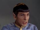 Filename=ariane179254_StarTrek_1x11_TheMenageriePart1_2554.jpg
Filesize=80KiB
Dimensions=1440x1080
Date added=Dec 23, 2014 ariane179254_StarTrek_1x11_TheMenageriePart1_2554.jpg