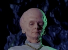 Filename=ariane179254_StarTrek_1x11_TheMenageriePart1_2987.jpg
Filesize=94KiB
Dimensions=1440x1080
Date added=Dec 23, 2014 ariane179254_StarTrek_1x11_TheMenageriePart1_2987.jpg